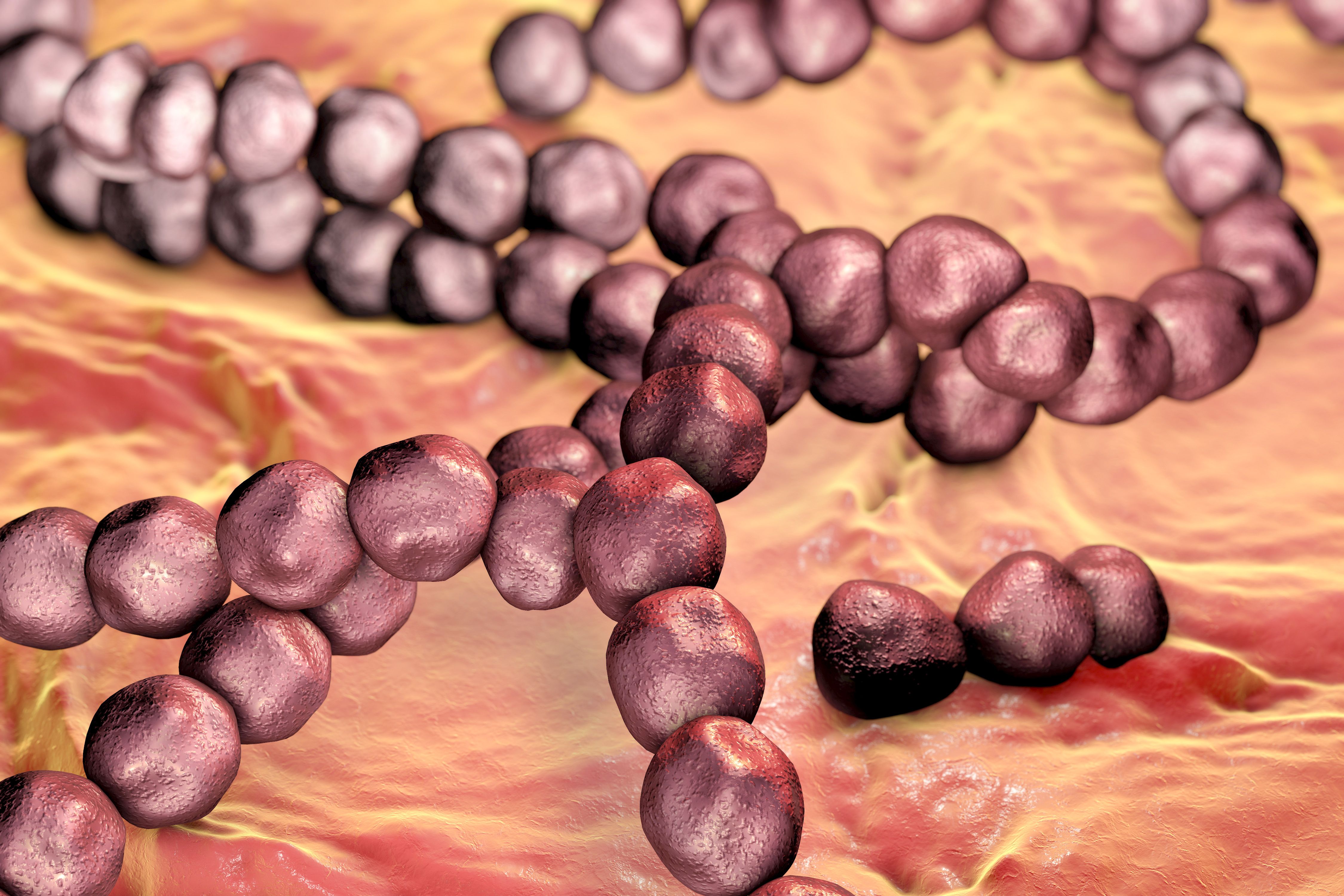 What Kills Streptococcus Mutans In Mouth